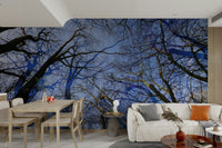 Skyward View: Abstract Tree Canopy Art Print Wall Mural