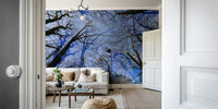 Skyward View: Abstract Tree Canopy Art Print Wall Mural