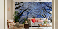 Skyward View: Abstract Tree Canopy Art Print Wall Mural