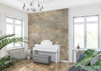 Snakeskin Gold Wall Mural featuring realistic snake scale textures in metallic gold tones.