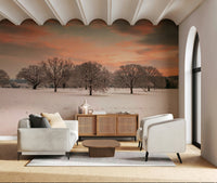 Peaceful winter wall mural with open field