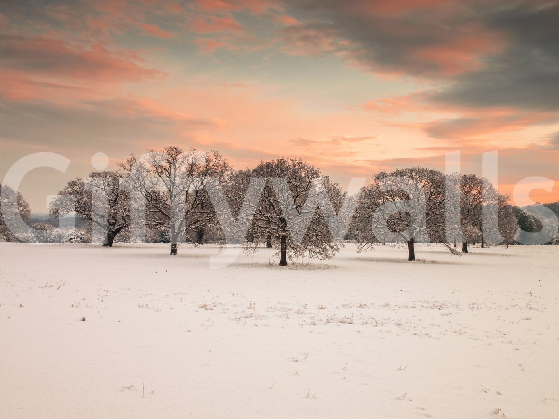 Calm winter field wall mural in pastel sky