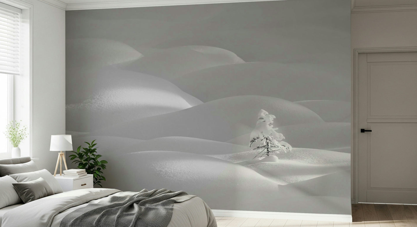 Snowscape Serenity Wall Mural -2178787
