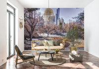 Snowy Central Park Wall Mural