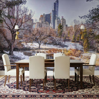 Snowy Central Park Wall Mural