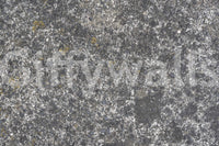 Speckled Stone Texture Wall Mural -2566598