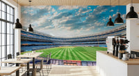Stadium View Wall Mural