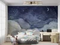 Stardust Veil Wallpaper Mural - Giffywalls