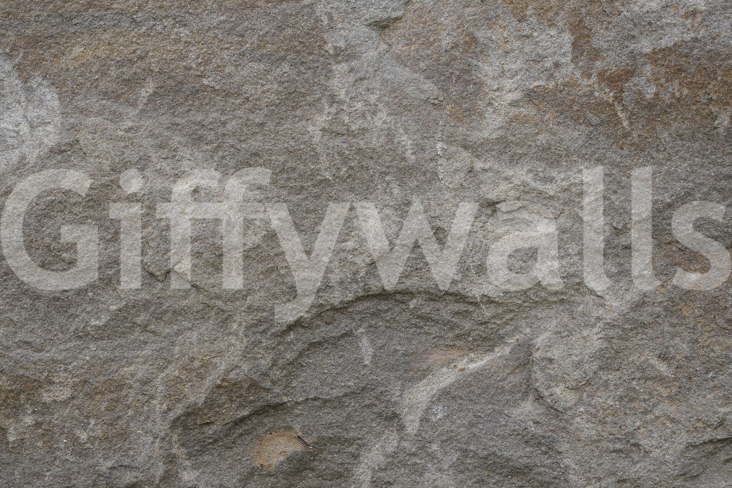 Stone Whispers Wall Mural -2566631