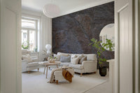 A serene stoneage texture wall mural for your decor.

