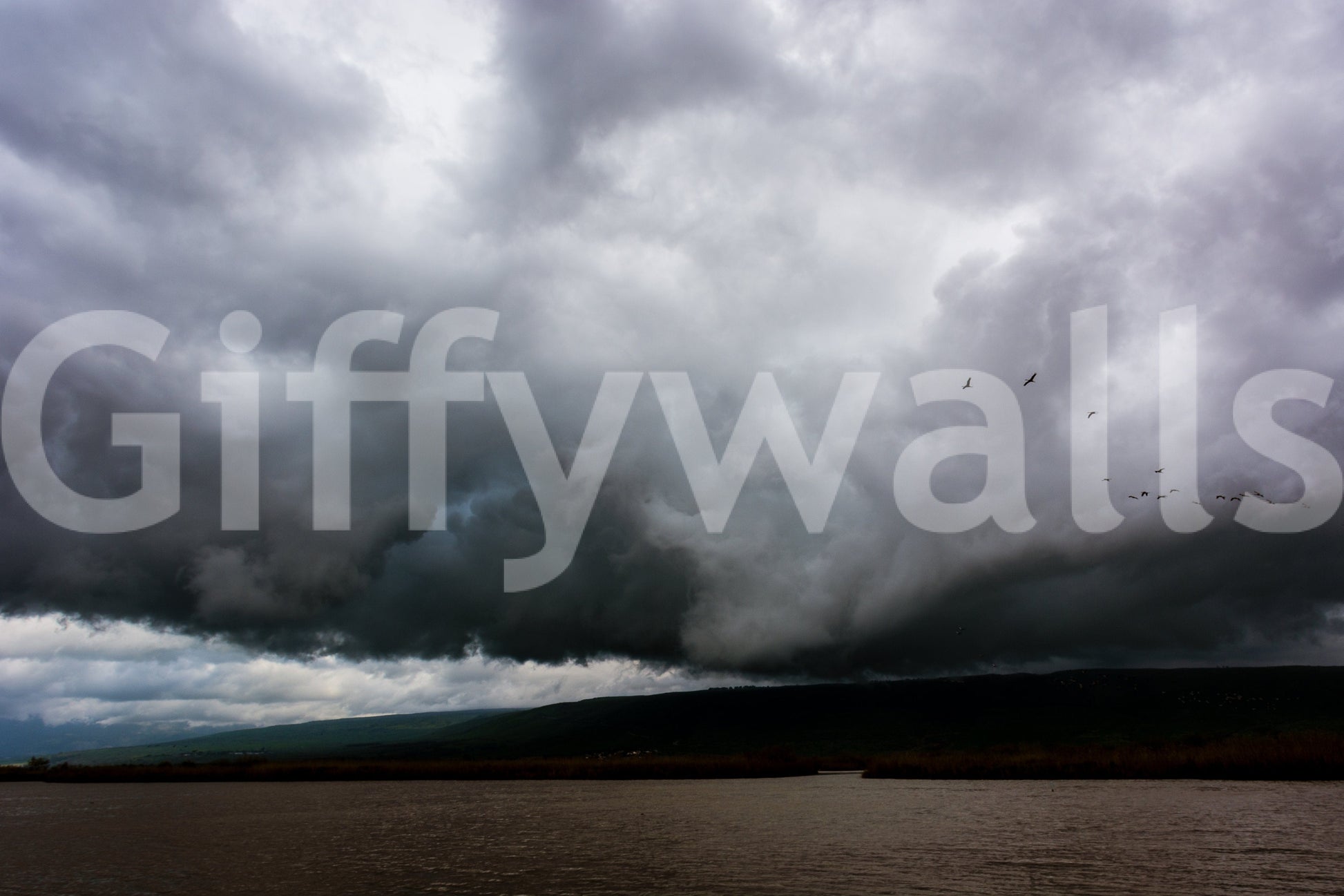 An artistic nature escape mural for home decor.

