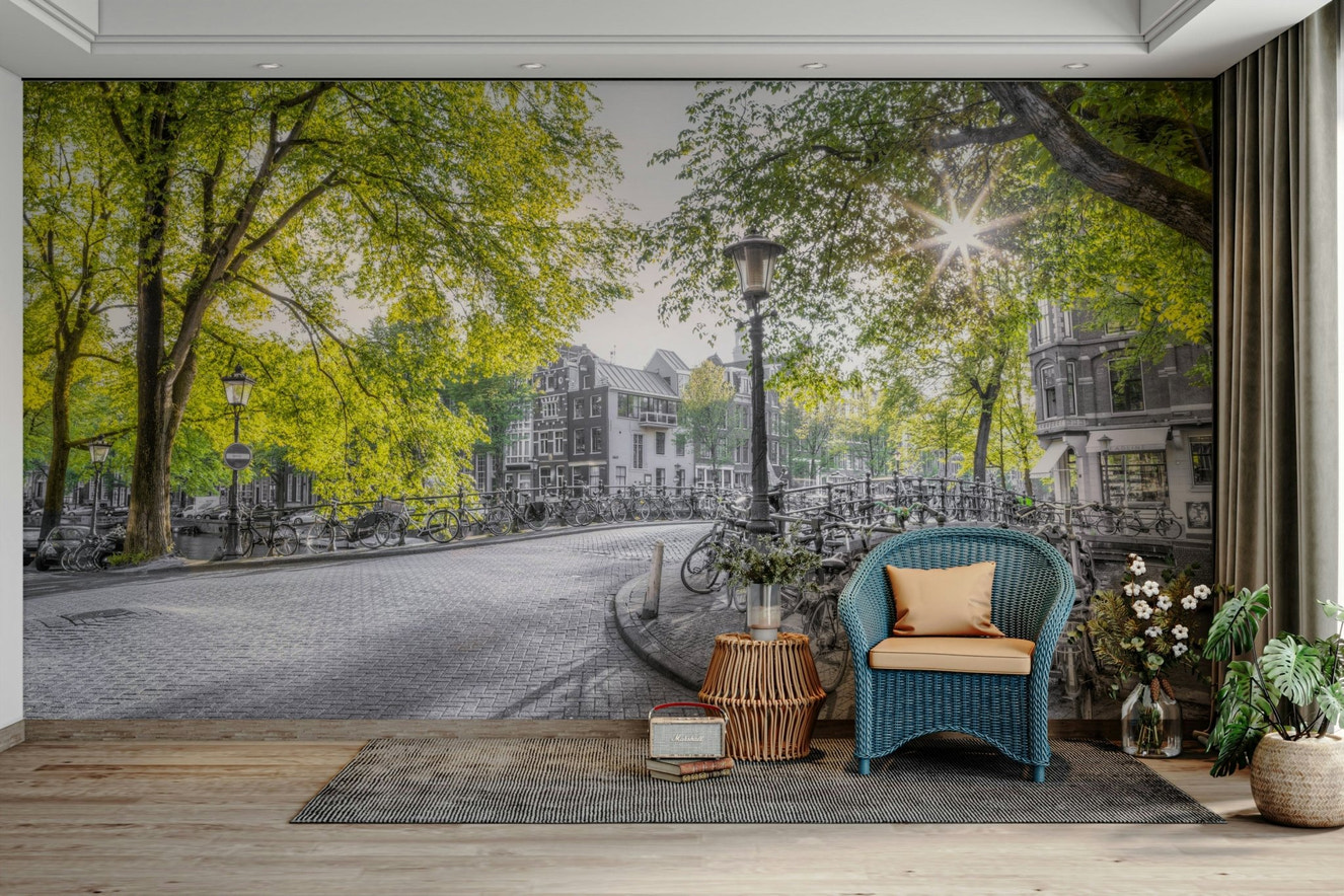 The sun shines brightly through the leaves, creating a starburst effect.

