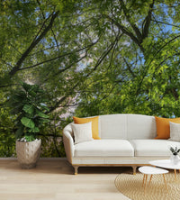 Bright and inviting atmosphere.

