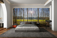 Sunlight filters through the leaves and trees.

