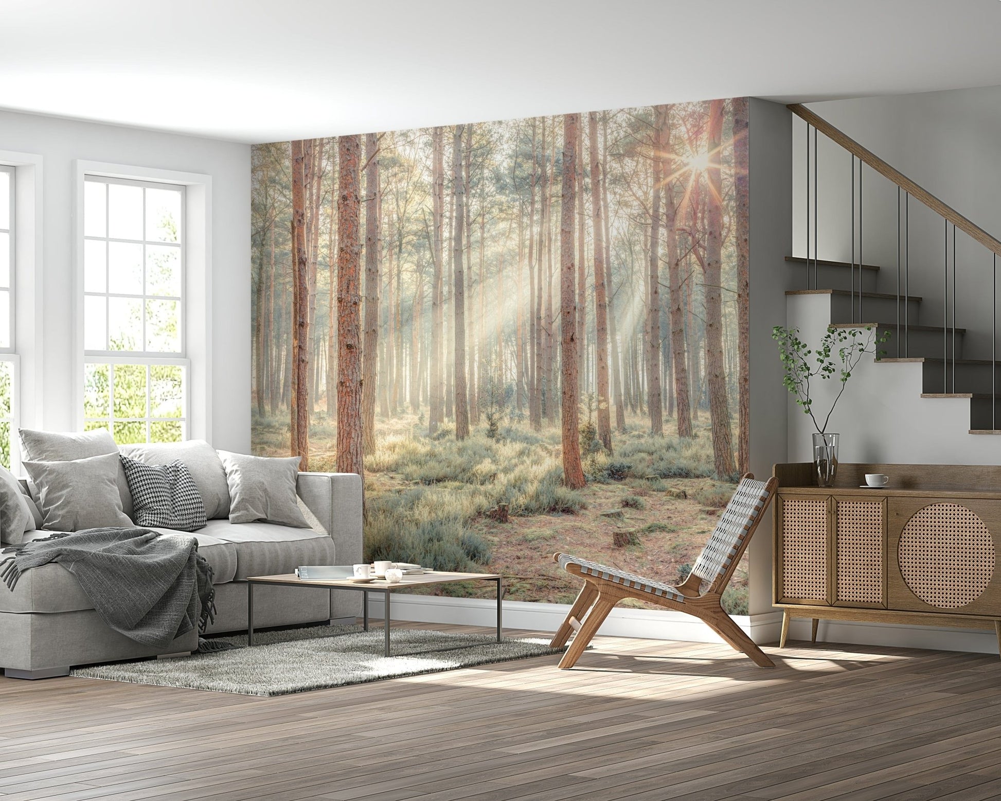Sunrise's Kiss in the Misty Forest Wall Mural