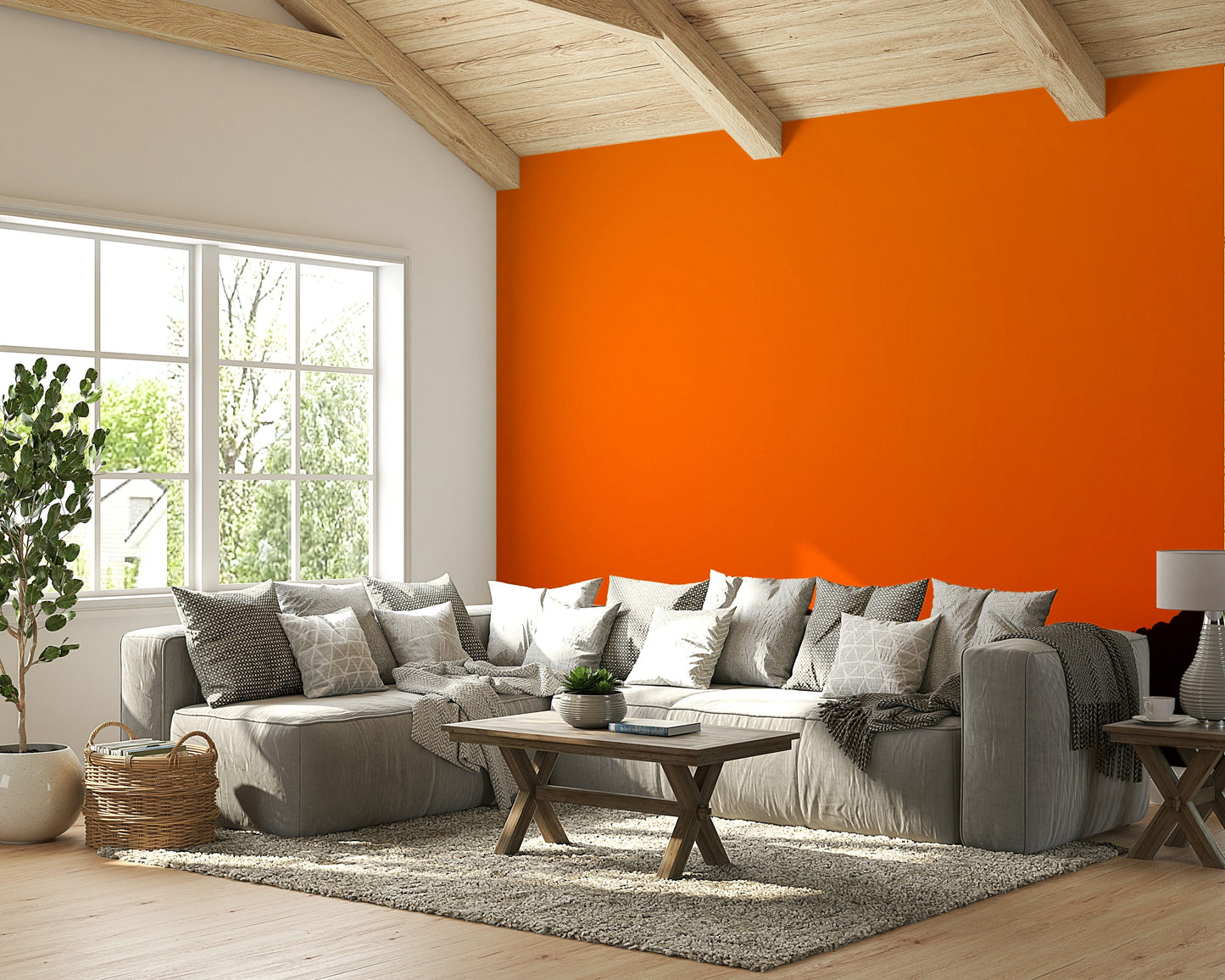 A calming desert theme wallpaper mural that defines a space.

