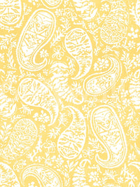 High-resolution floral paisley design.

