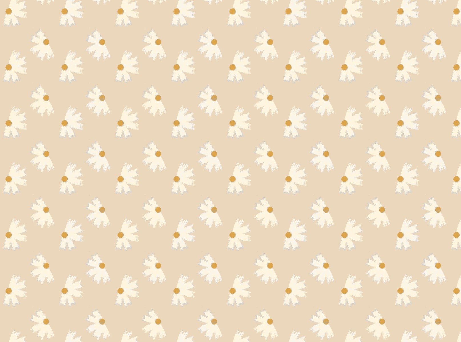 Fond d'écran de fleur de perle du souci
