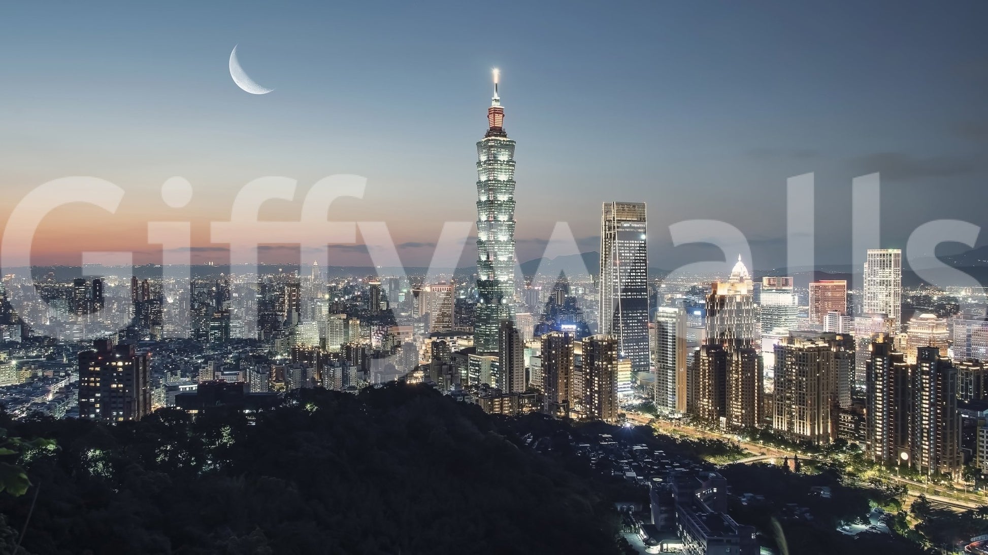 Taipei Nights Wall Mural