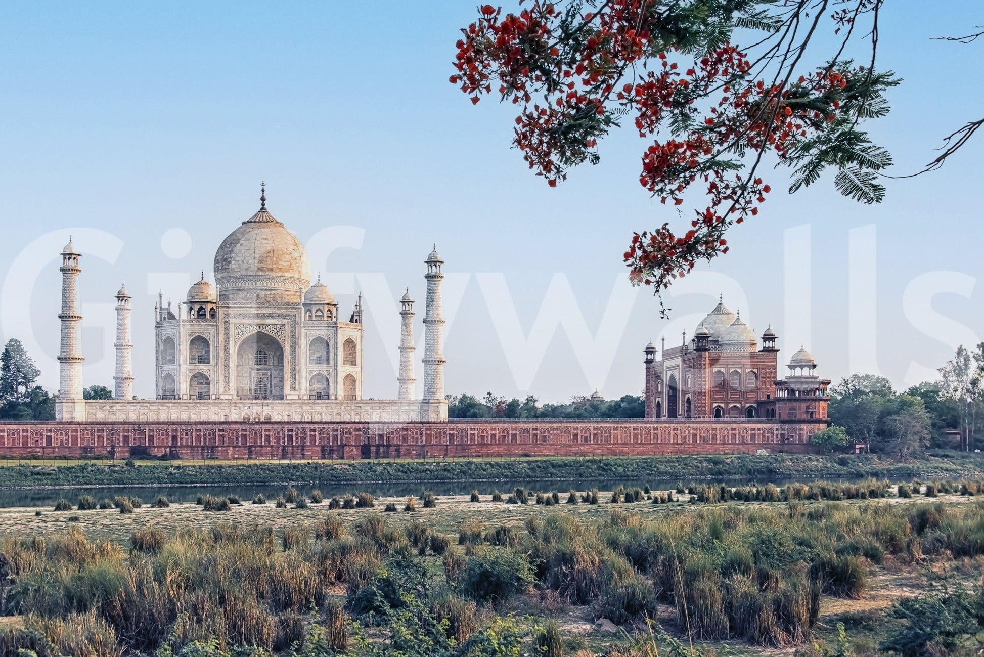 Elegant riverbank scenery, Taj Serenity architectural print.