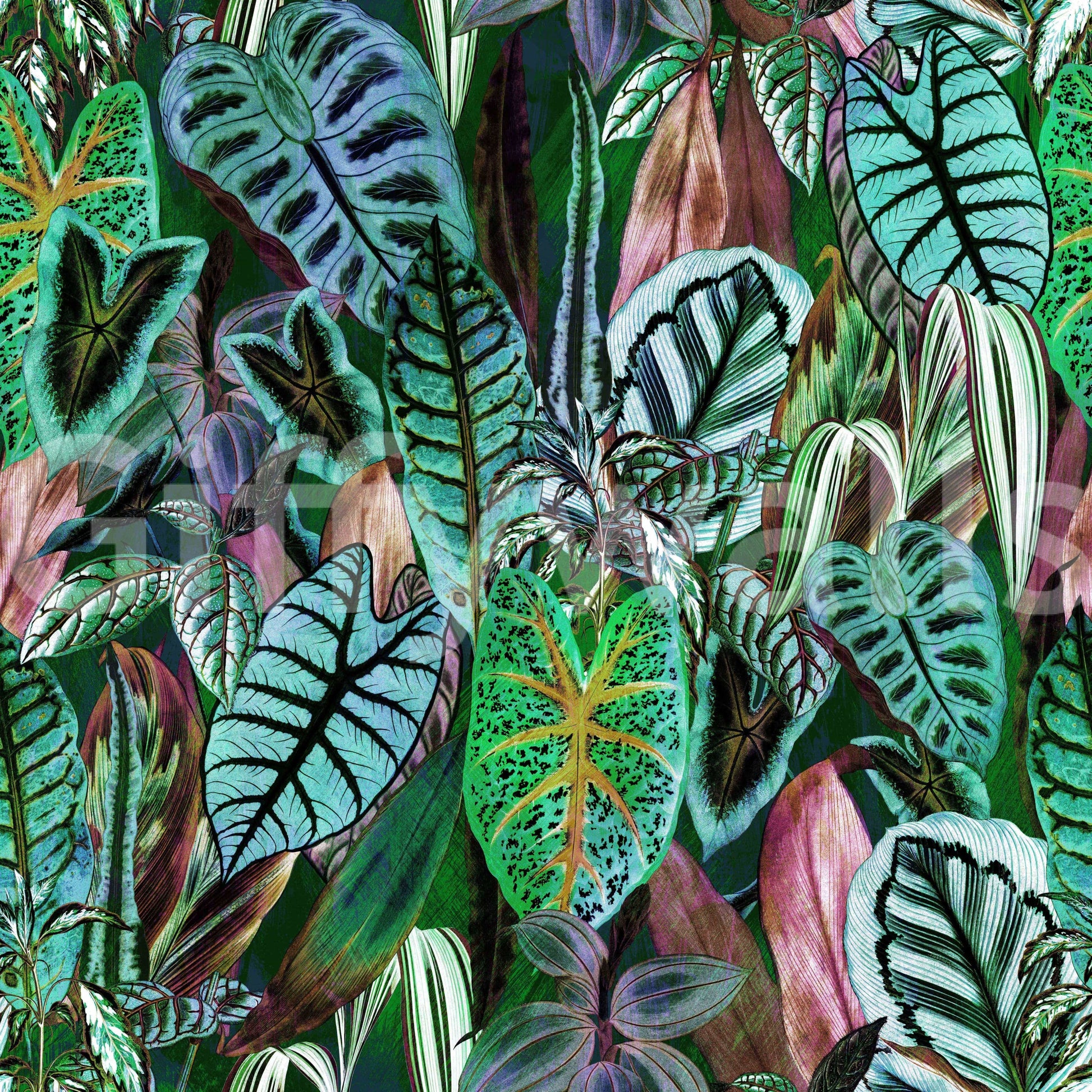 Green Foliage tasteful wallpaper

