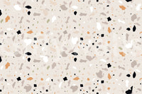 Light base Terrazzo Art Natural Stone mural scattered fragments.