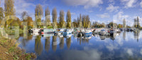Relaxing boat marina wallpaper for nature-themed rooms

