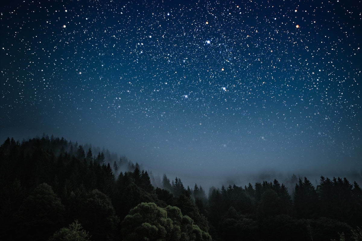 Starry Night Tapete Wandbild in your room — zoomed