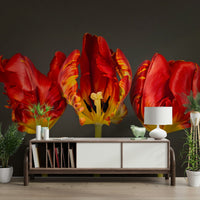 Stunning Rococo tulip design for home wall decor.

