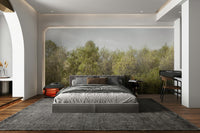 Birch Grove serene wallpaper

