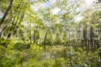 Tranquil Forest Reflection Art Print | Serene Nature Photography | Greenery Landscape Decor Wall Mural