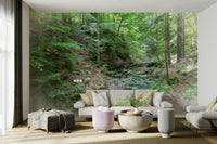 Unique and immersive nature-themed wallpaper.

