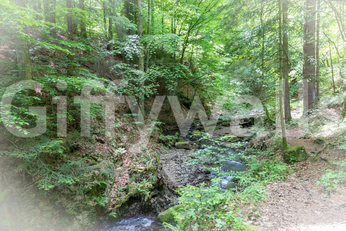 Easy to install tranquil forest stream mural.