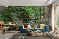 Nature photography print of a serene woodland scene.

