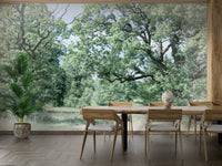 Serene countryside mural wallpaper
