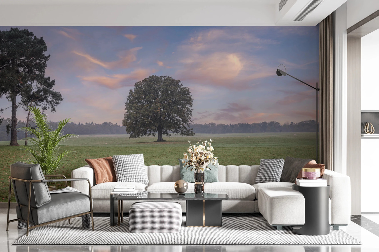 Tranquil Sunrise Field Wall Mural with golden morning light for living room.