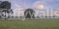 Modern wall mural of a natural sunrise landscape.
