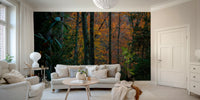 A contemplative forest scene wallpaper mural for a feature wall.

