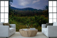 Tropical Canopy with lush red flowers and plants Photography Wall Mural