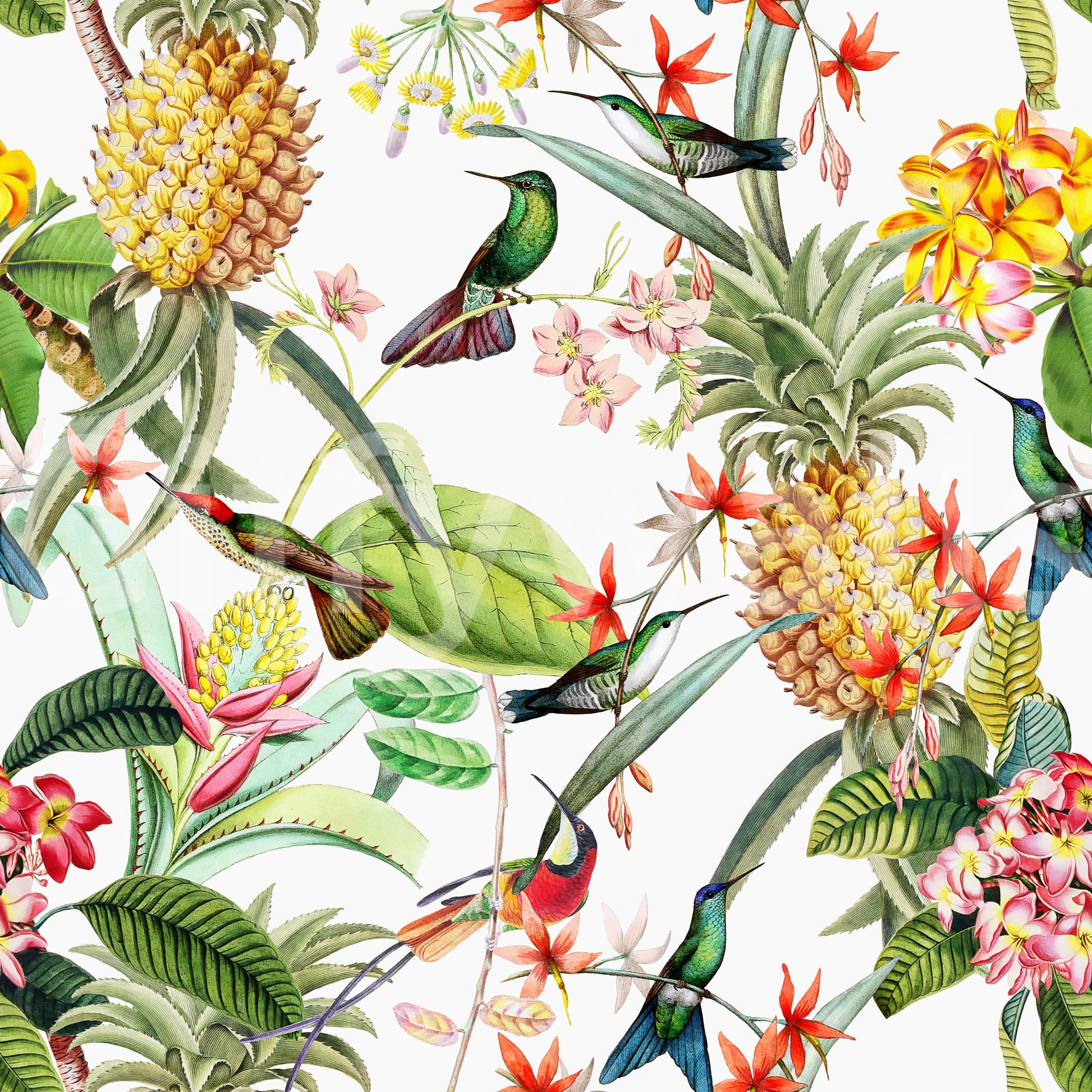 Tropical Paradise wallpaper mural with hummingbirds and vibrant blooms.

