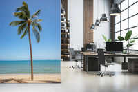Tropical Retreat wallpaper mural of a beach palm tree beside desks and chairs in an open-plan home office