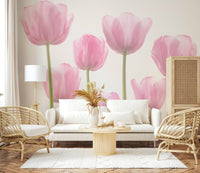 Airy light pink Bulbs nature wallpaper spring feeling.