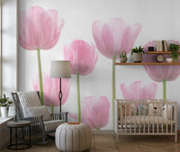 Luminous Tulip photography wall mural aesthetic room.