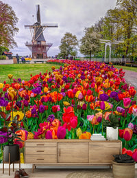 Interior design wall mural Tulip Windmill Garden beautiful flowerbed
