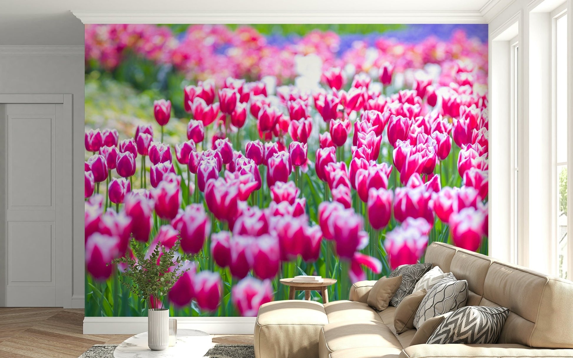 Premium decorative Tulip Wonderland for interior walls.