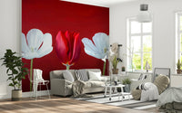Artistic Tulips in a row wallpaper showcasing contrasting red and white floral arrangement.