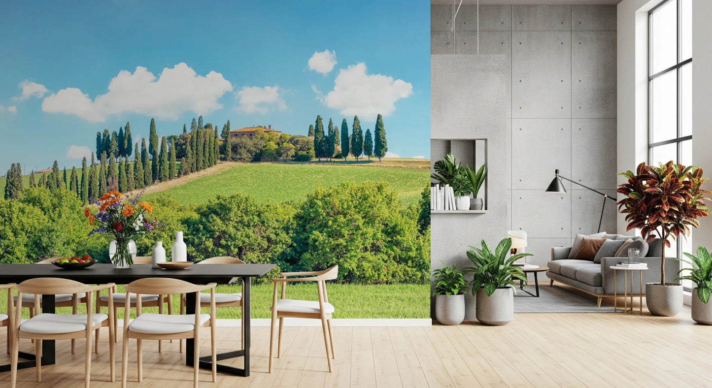 Italian countryside wall mural behind sofa