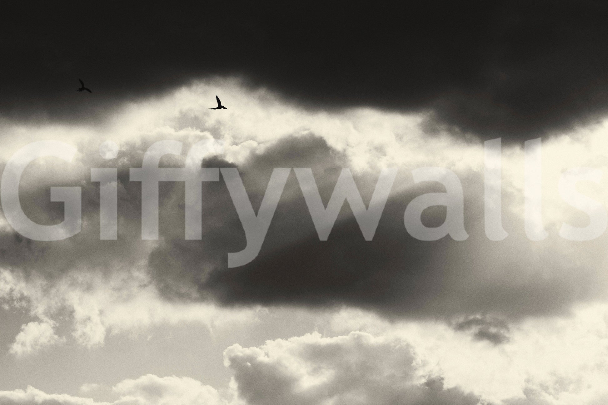 A high-quality custom graphic wall mural for walls.

