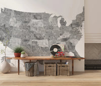 USA map with states and capitals in gray watercolor Wall Mural