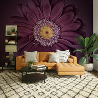 Velvet Bloom Wall Mural with rich, vibrant floral design.

